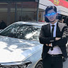 alireza salehi