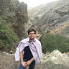 Hasan Salah