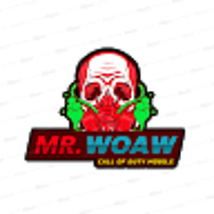 Mr. woaw