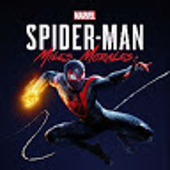 spidergamer