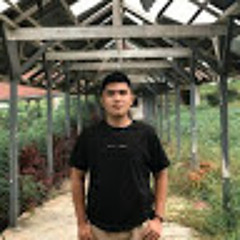 alvito dofirman