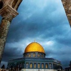 حامل المسك