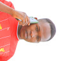 Valentine Takudzwa Ushe