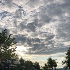 سلسبيل عمرو