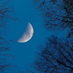 kuuntergraudunkelbunt