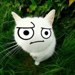 Thomas Wasabi