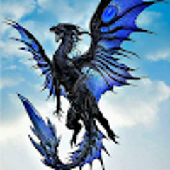 SM Mad Designe