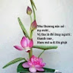 Thái Hoàng Nguyễn