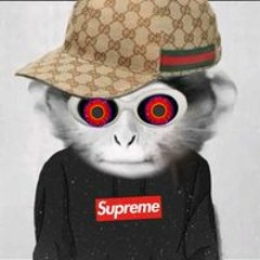 User 490138440