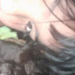 viquis06