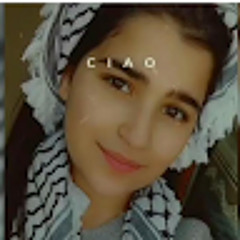 tamam afifi