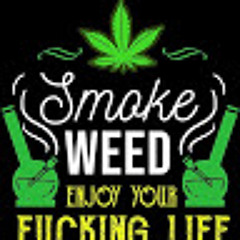 Mr Green