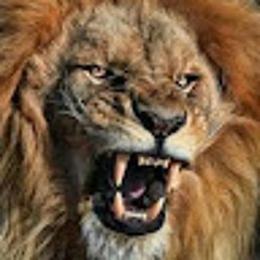 Waseem ARMIA