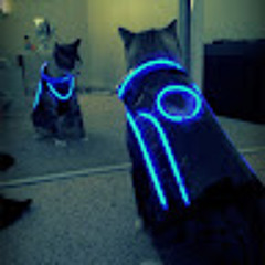 Tron Cat