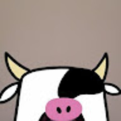 딘지 Dinsey