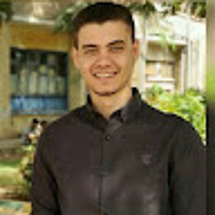 Hossam Zayed