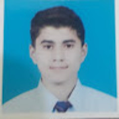 Muhammad Hasnain