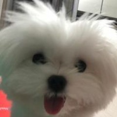 박재정