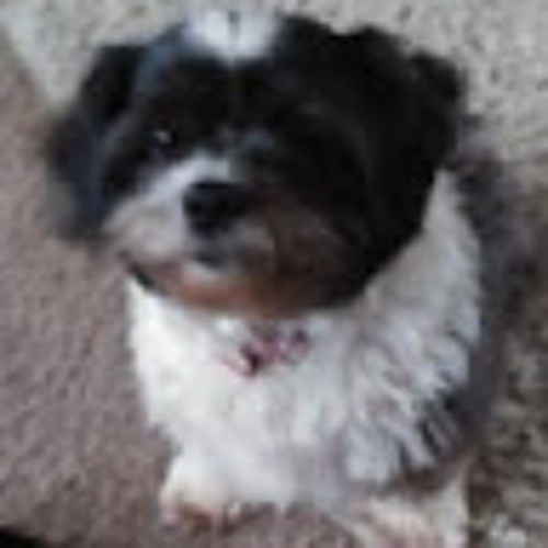 Stream Ashton Wright music Listen to songs, albums, playlists for