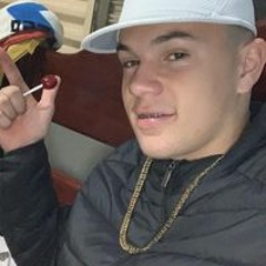 Davi Stefanini Martins