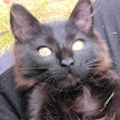 Valentinas Mortūnas