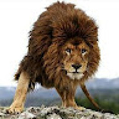 william