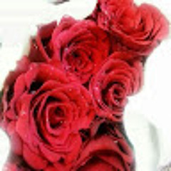 noor