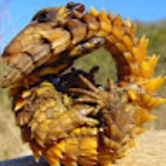 Тоболева Наталья