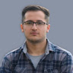 mehdi salehani