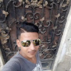 محمود الجمل