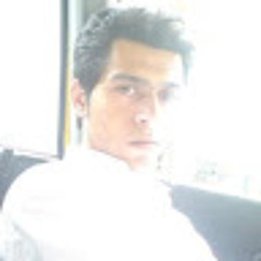 Hossein kashkouli