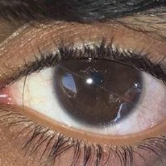 محمد الحربي