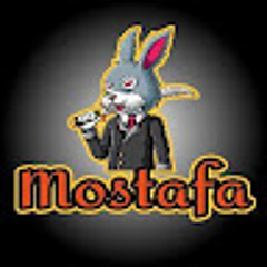 Mostafa Tamer ALTURKEY