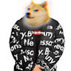 dripdoge