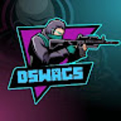 DSwags
