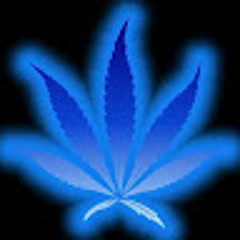 User 575136781