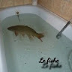 le fishe