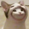 DavKyle