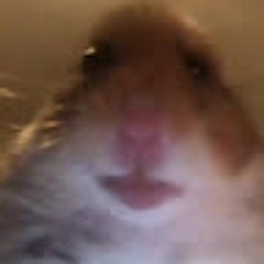 PebblesDaddy
