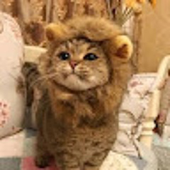 a-heart-of-sunflower