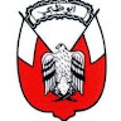 Mohammed Alshamsi