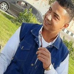 محمد عربى