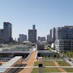 순순수