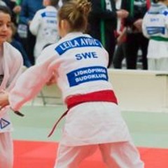 Leila Avdic