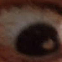 BIGDOASHI1