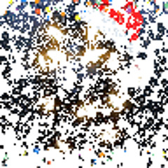 d0pii