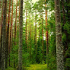 محمّد أحمد نور خان