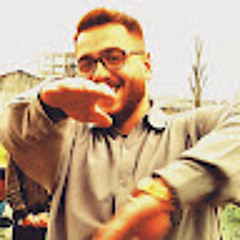 Mohammad Ziyaei