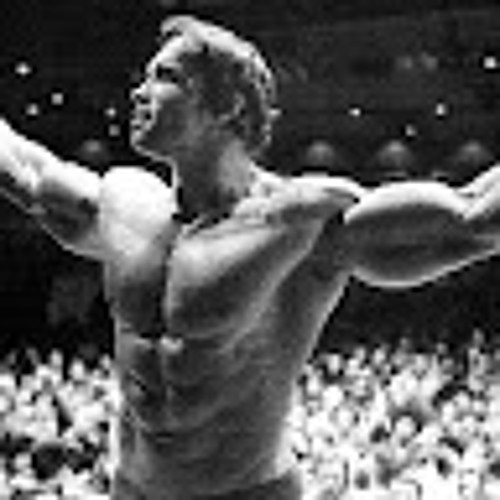 Arnold Schwarzenegger is my Dad’s avatar