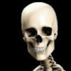 SkellerBone